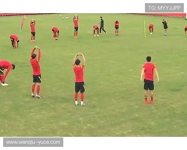 足球波胆是什么意思 避坑防骗指南